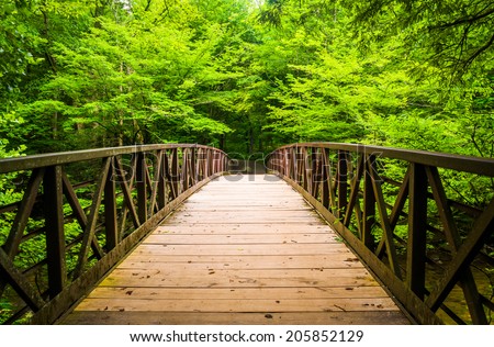 Walking bridge over a stream at Great Smoky Mountains National Park Tennessee Walking bridge over a stream at Great Smoky Mountains National Park Tennessee