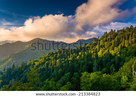 Evening light on the Smokies, seen from an overlook on Newfound Gap Road in Great Smoky Mountains National Park, Tennessee.