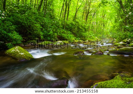 Cascades in the Oconaluftee River, at Great Smoky Mountains National Park, North Carolina.