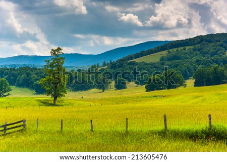 Tree and fence in a field and hills in the rural Potomac Highlands of West Virginia.