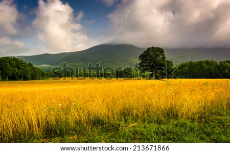 Field and low clouds over mountains at Cade\'s Cove, Great Smoky Mountains National Park, Tennessee.