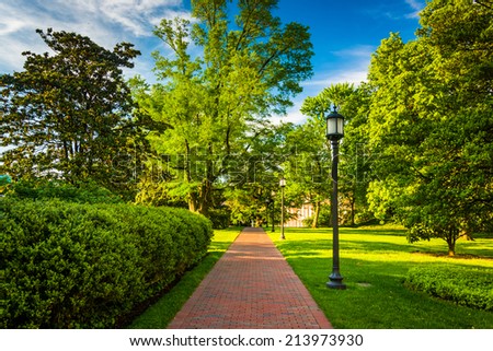 Streetlight and bushes along a brick walkway at John Hopkins University in Baltimore, Maryland.