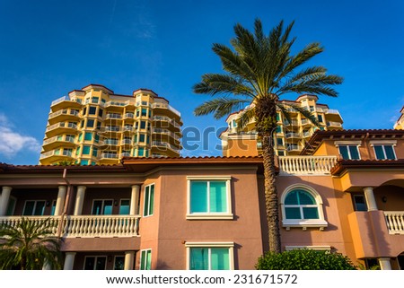 Palm trees, houses and condo towers in Saint Petersburg, Florida.