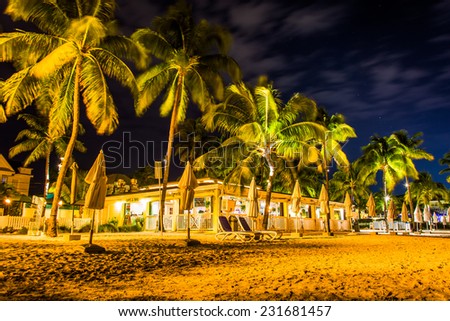Palm trees and restaurant at night at South Beach, in Key West, Florida.