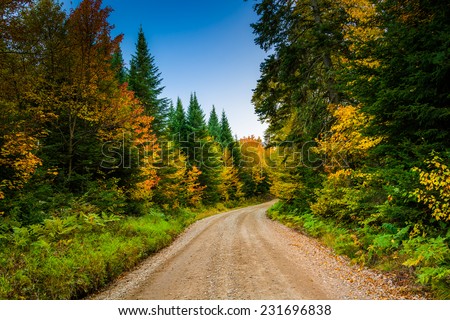 Autumn color along a dirt road in White Mountain National Forest, New Hampshire.