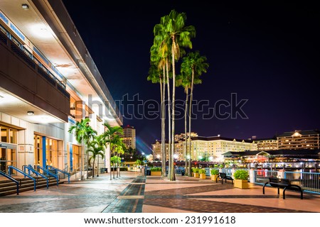 Palm trees and the exterior of the Convention Center at night in Tampa, Florida.
