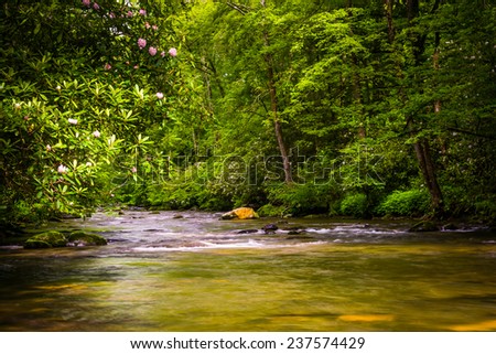 The Oconaluftee River, at Great Smoky Mountains National Park, North Carolina.