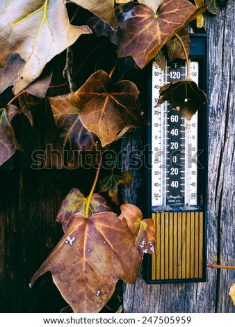 Thermometer and ivy on the wall of an old building in Glenville, Pennsylvania.