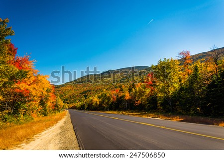 Autumn color along a road in White Mountain National Forest, New Hampshire.
