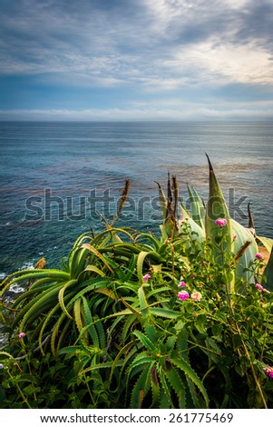 Plants and view of the Pacific Ocean at Crescent Bay Point Park, in Laguna Beach, California.