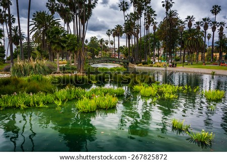 Grasses and a bridge over Echo Park Lake, in Los Angeles, California.