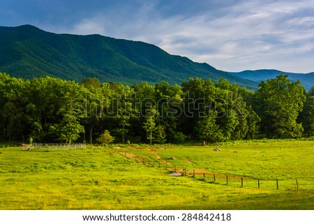 Field and mountains at Cade\'s Cove, Great Smoky Mountains National Park, Tennessee.