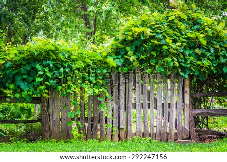 Fence and gate around a garden in Harpers Ferry, West Virginia.