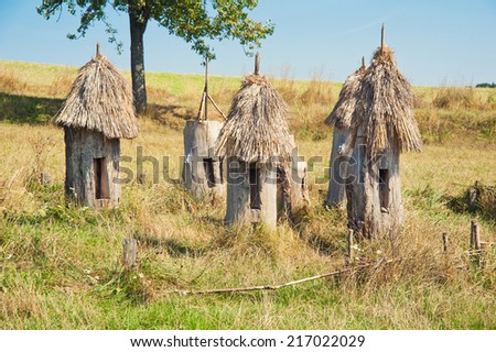 Ancient apiary with wooden bee hives