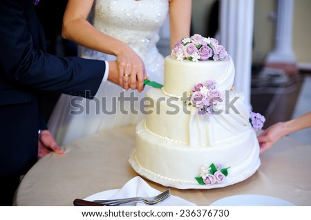 Bride and Groom at Wedding Reception Cutting the Wedding Cake