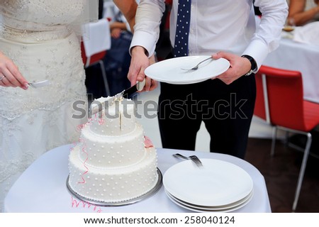 Bride and Groom at Wedding Reception Cutting the Wedding Cake