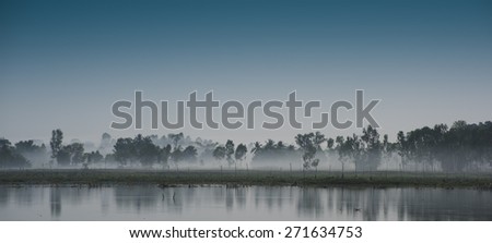 Heavy mist forming in trees round lake Thailand Stormy Weather Global Warming