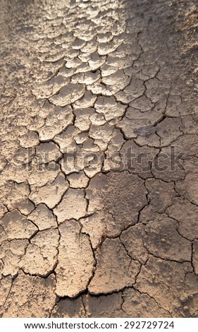 Soil cracks desert sands water evaporation stagnation and global warming large cracks in clay soil due to water evaporation