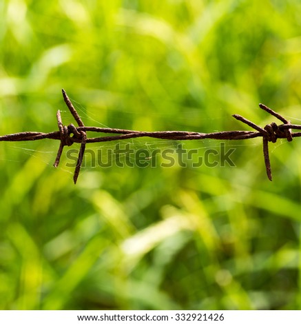 Barbed wire rusting metal textures and patterns