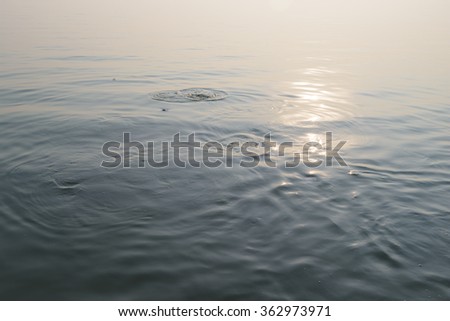 Water ripples and patterns caused by feeding fish taken in early morning light.