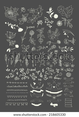 Hand Drawn vintage floral elements Swirls laurels frames arrows leaves feathers dividers branches flowers banners and curls Hand Drawn vintage floral elements Swirls laurels frames arrows leaves feathers dividers branches flowers banners and curls