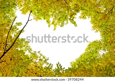 on white background tops of trees are yellow and green leaves in the form of heart