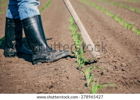 Manual labor in agriculture