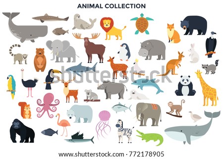 Big collection of wild jungle, savannah and forest animals, birds, marine mammals, fish. Set of cute cartoon characters isolated on white background. Colorful vector illustration in flat style.