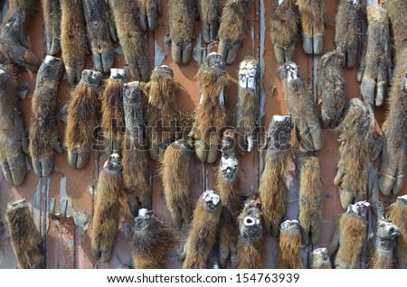 Bages, Aude, France: September 12th 2013: The custom of Hunters in Southern France to attach animal parts to the door.