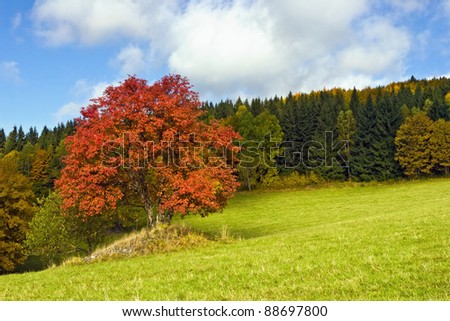 mountain landscape in autumn colors
