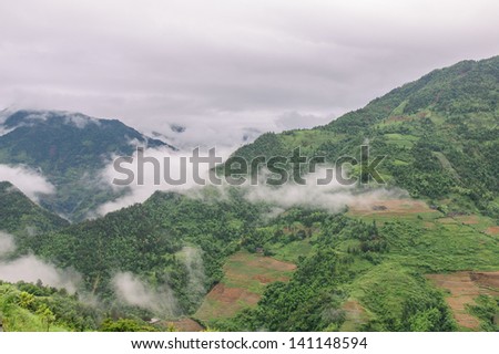 Terraced Fields rain, clouds floating in the mountains