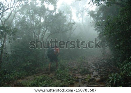 Trekking in rain forest  Serra Geral National Park, mountain range in southern Brazil