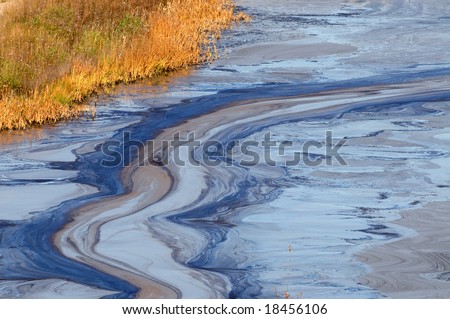Closeup of an oil slick in water with fall colors in the grass on the shore