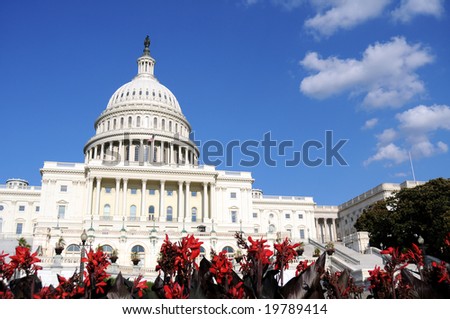 Flowers in front of the U.S. Capitol, where the Senate and House of Representatives meet
