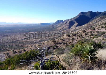 Desert landscape from Miller Peak in Arizona towards a valley on the US-Mexican border, favored by smugglers