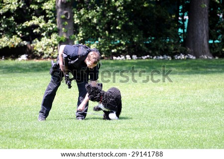 WASHINGTON - April 24: Policeman catches President Obama\'s First dog Bo, who had escaped and ran towards the south end of the White House South lawn in Washington DC on April 24, 2009.