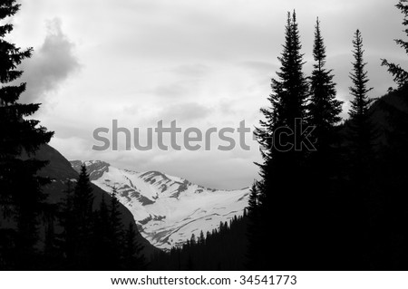 A black and white photo of the Jackson Glacier seen from the Going-to-the-Sun Road in the Glacier National Park in Montana, northwestern USA, shot in early July.