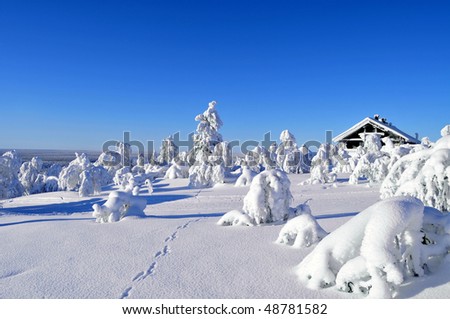 Cottage on a mountain slope in winter, with rabbit tracks in snow in the foreground