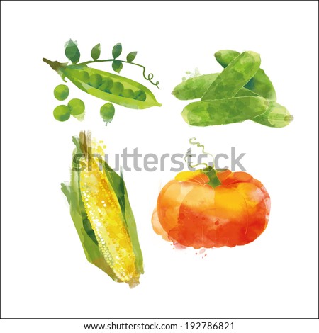 watercolor vector vegetables set watercolor vector vegetables set