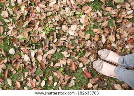 woman's feet on the autumn leaves background