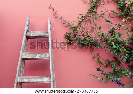 Vintage wooden ladder against a pink wall.