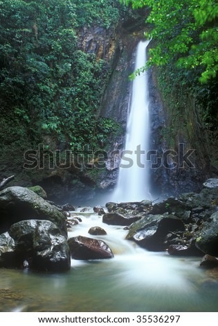 Jungle waterfall in Dominica island