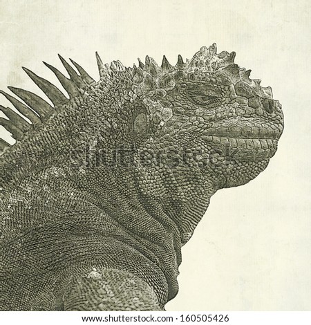 Iguana head profile digital drawing by vintage art