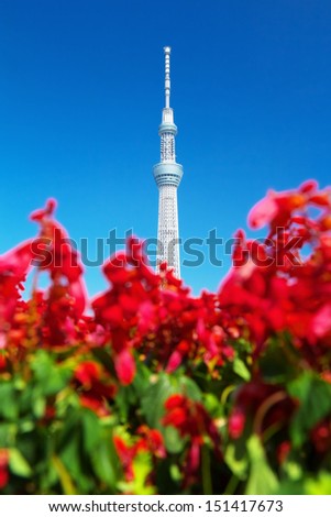 TOKYO - JULY 07: View of Tokyo Sky tree with scarlet sage flowers on July 07, 2013 in Tokyo, Japan. It is the second tallest structure in the world at a height of 634 meters.