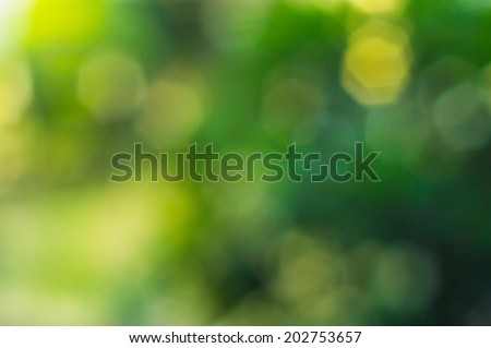 The Green polygon bokeh of the tree background