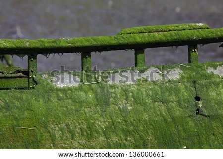 Boat covered in algae. Detail of an old boat abandoned and covered in green algae.