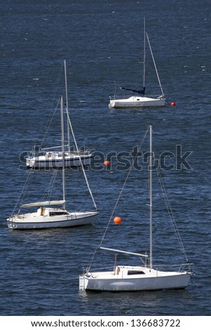 Boats in a lake. Vertical view of four little sailing boats moored in a lake