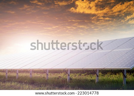 solar battery field against sunset