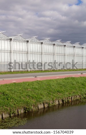 Greenhouse in South Holland province, the Netherlands. Flowers and vegetables are grown here.