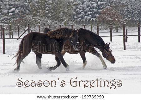 Horses in the snow season\'s greetings. Painting style, red letters.